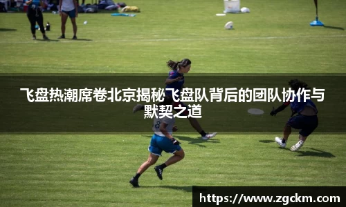 壹号娱乐平台