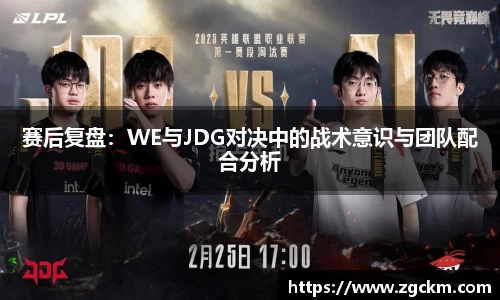 赛后复盘：WE与JDG对决中的战术意识与团队配合分析