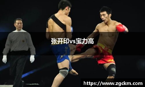 张开印vs宝力高