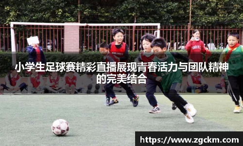 壹号娱乐平台